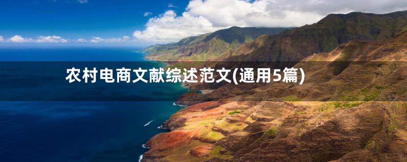 农村电商文献综述范文(通用5篇)