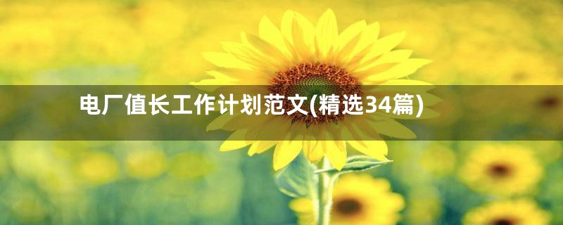电厂值长工作计划范文(精选34篇)