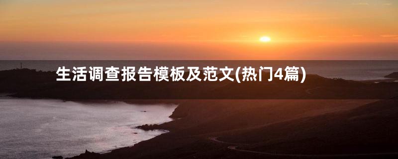 生活调查报告模板及范文(热门4篇)