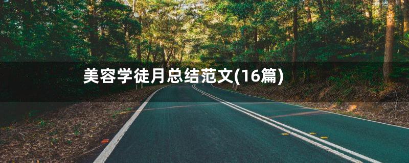 美容学徒月总结范文(16篇)