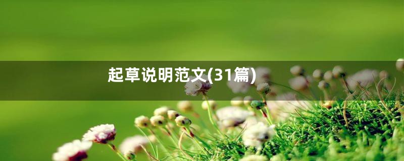 起草说明范文(31篇)
