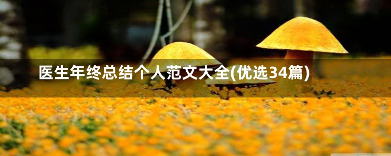 医生年终总结个人范文大全(优选34篇)