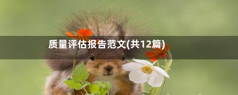 质量评估报告范文(共12篇)