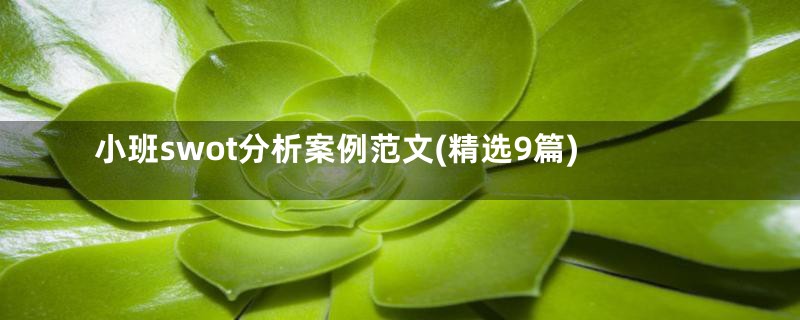 小班swot分析案例范文(精选9篇)