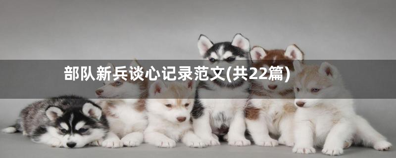 部队新兵谈心记录范文(共22篇)