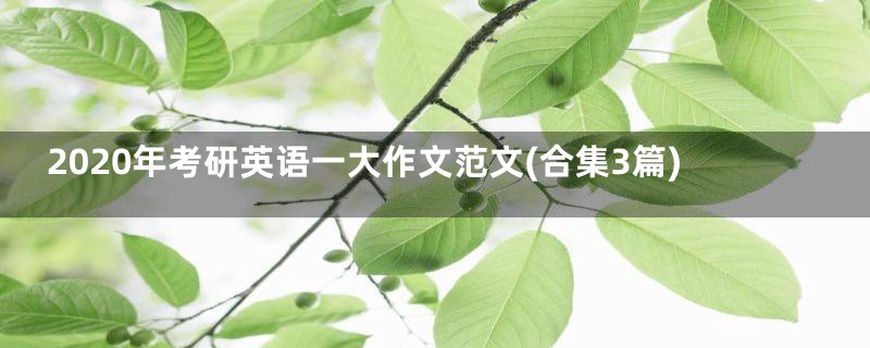 2020年考研英语一大作文范文(合集3篇)