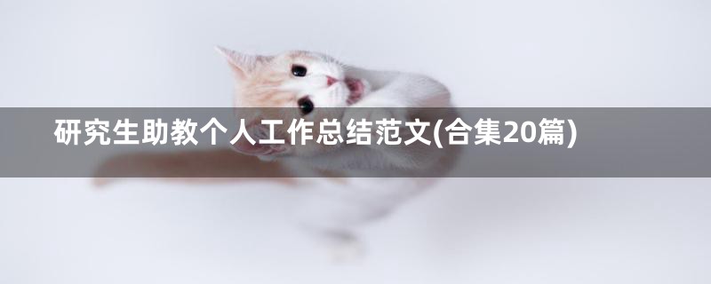 研究生助教个人工作总结范文(合集20篇)