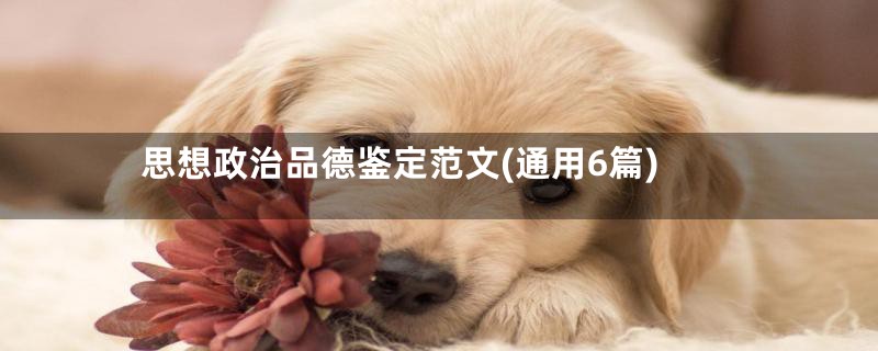 思想政治品德鉴定范文(通用6篇)