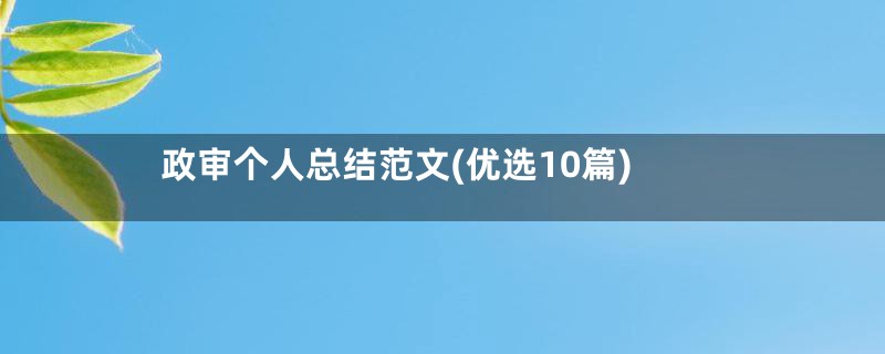 政审个人总结范文(优选10篇)