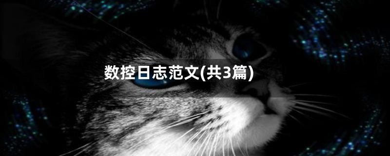 数控日志范文(共3篇)