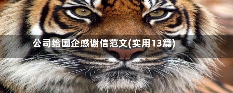 公司给国企感谢信范文(实用13篇)