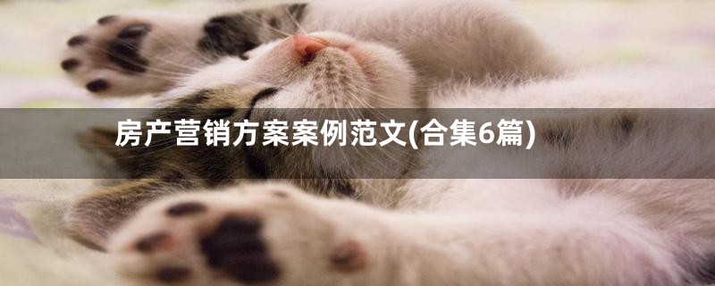 房产营销方案案例范文(合集6篇)
