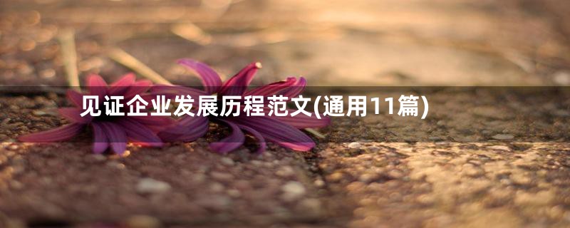 见证企业发展历程范文(通用11篇)