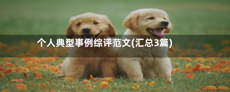 个人典型事例综评范文(汇总3篇)