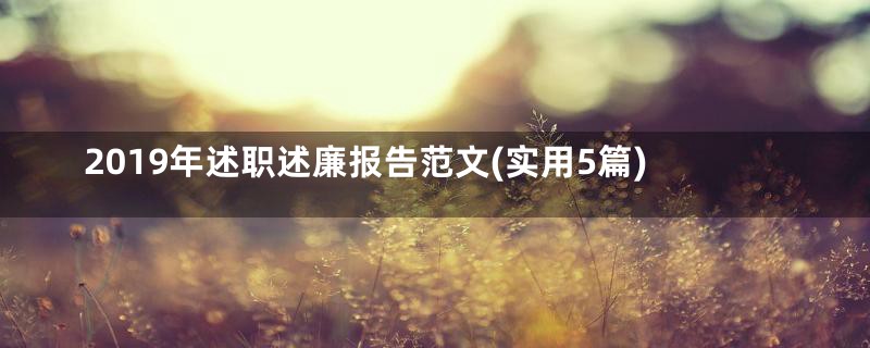 2019年述职述廉报告范文(实用5篇)