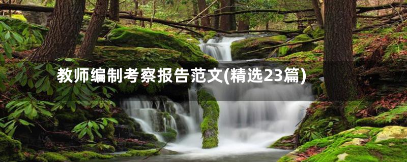 教师编制考察报告范文(精选23篇)
