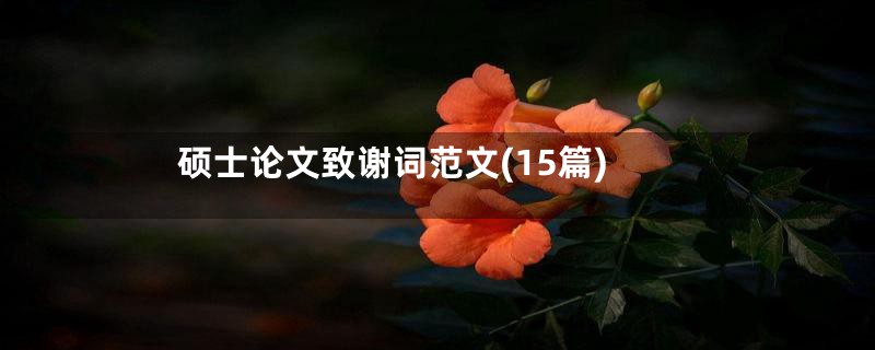 硕士论文致谢词范文(15篇)