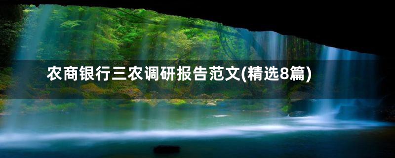 农商银行三农调研报告范文(精选8篇)