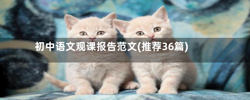 初中语文观课报告范文(推荐36篇)