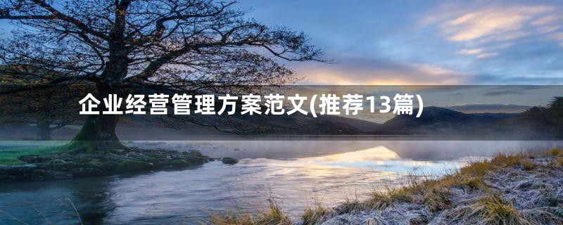 企业经营管理方案范文(推荐13篇)