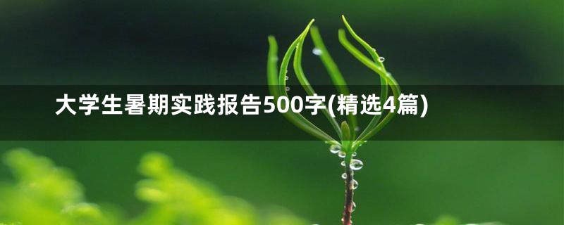 大学生暑期实践报告500字(精选4篇)