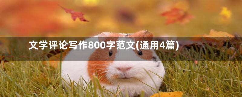 文学评论写作800字范文(通用4篇)