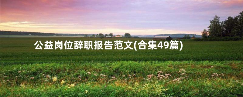 公益岗位辞职报告范文(合集49篇)