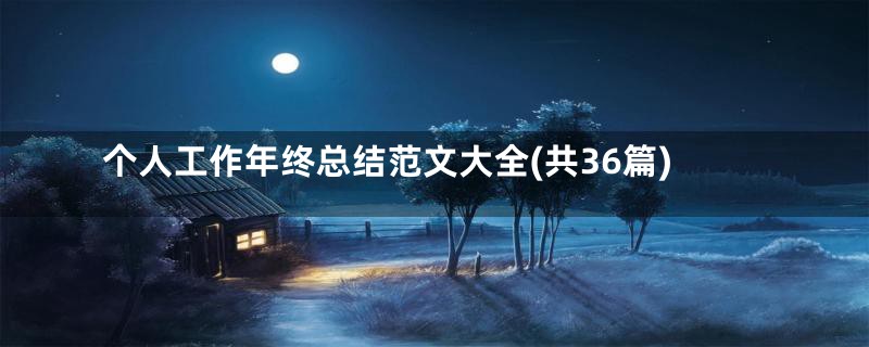 个人工作年终总结范文大全(共36篇)