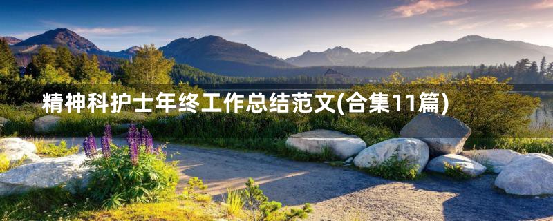精神科护士年终工作总结范文(合集11篇)