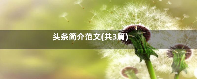 头条简介范文(共3篇)