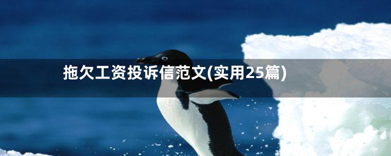 拖欠工资投诉信范文(实用25篇)