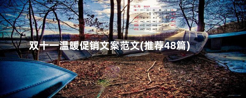 双十一温暖促销文案范文(推荐48篇)