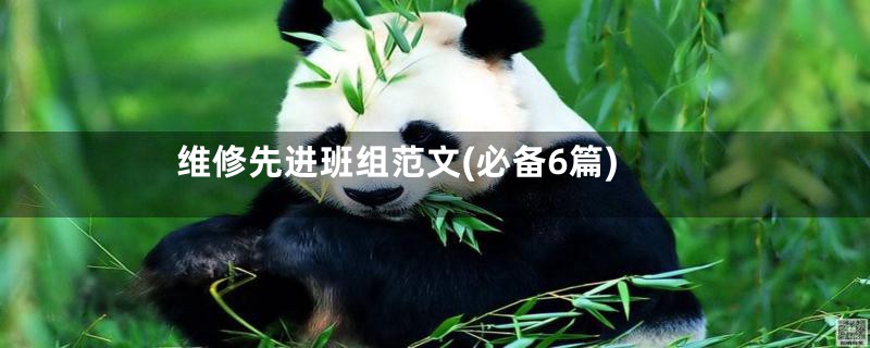 维修先进班组范文(必备6篇)