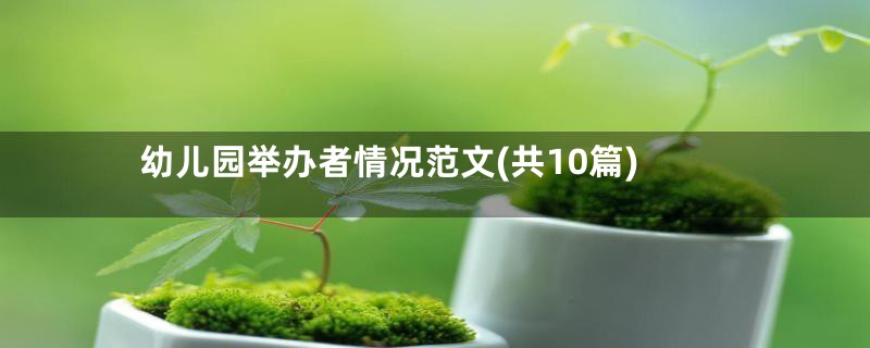 幼儿园举办者情况范文(共10篇)