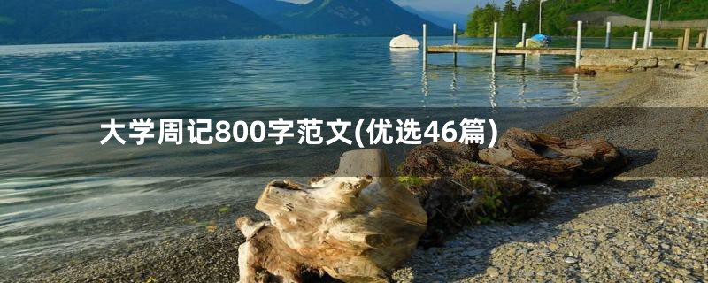 大学周记800字范文(优选46篇)