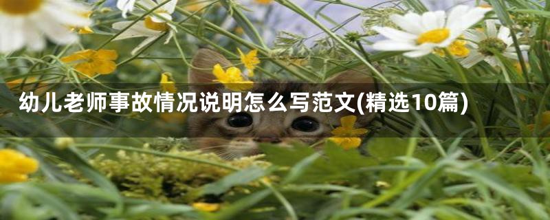 幼儿老师事故情况说明怎么写范文(精选10篇)