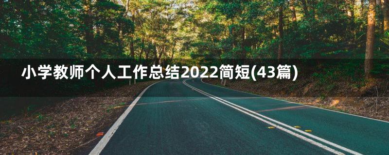 小学教师个人工作总结2022简短(43篇)