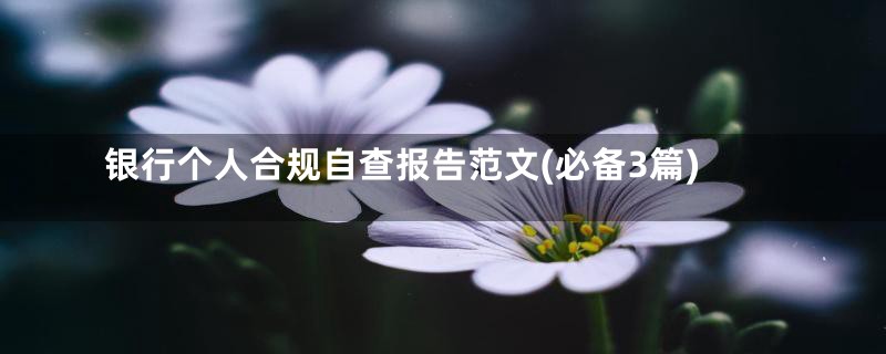 银行个人合规自查报告范文(必备3篇)