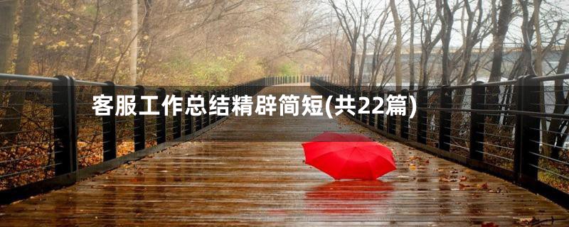 客服工作总结精辟简短(共22篇)