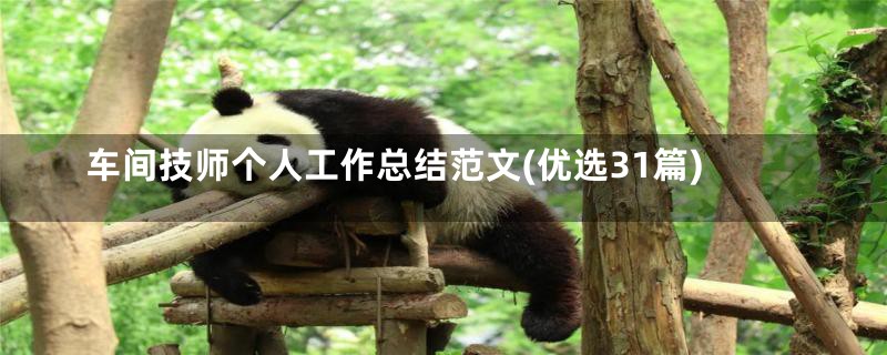 车间技师个人工作总结范文(优选31篇)