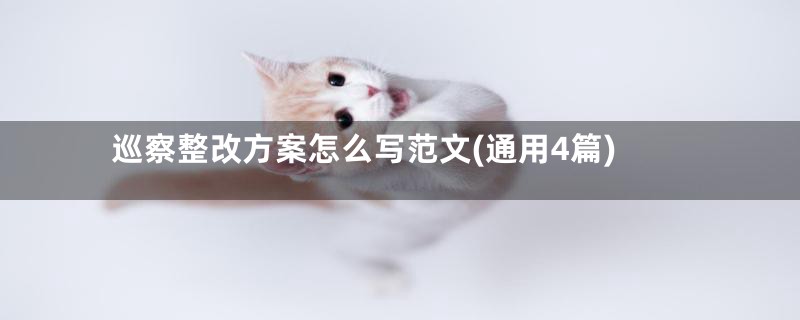 巡察整改方案怎么写范文(通用4篇)