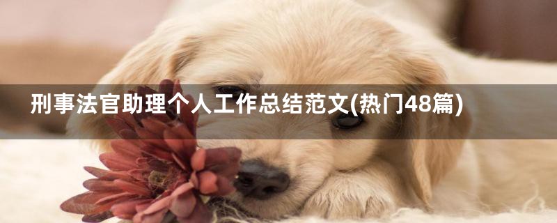 刑事法官助理个人工作总结范文(热门48篇)