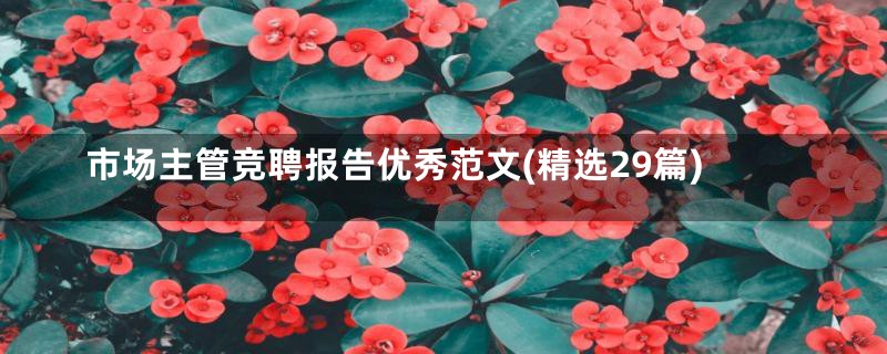市场主管竞聘报告优秀范文(精选29篇)