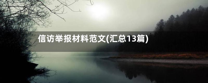 信访举报材料范文(汇总13篇)