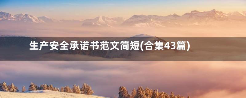 生产安全承诺书范文简短(合集43篇)