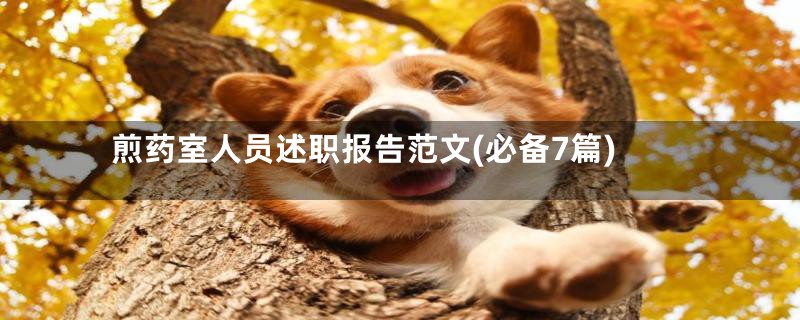 煎药室人员述职报告范文(必备7篇)