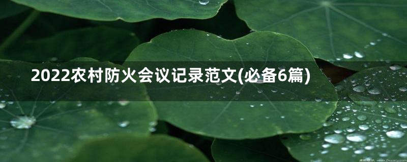 2022农村防火会议记录范文(必备6篇)