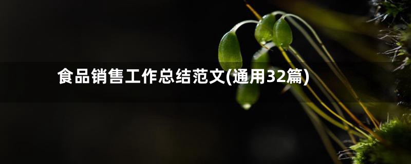 食品销售工作总结范文(通用32篇)