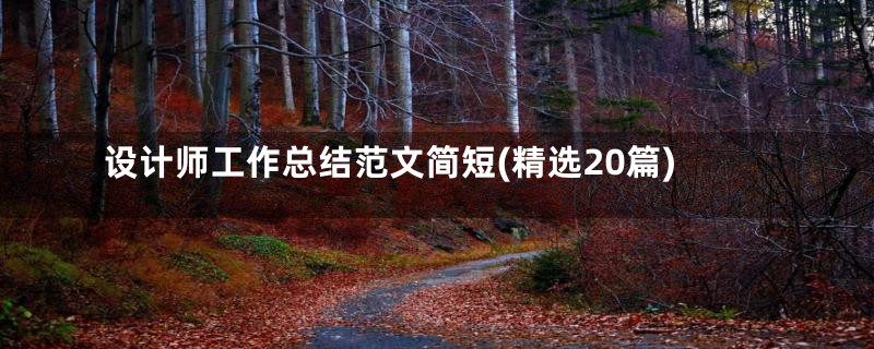 设计师工作总结范文简短(精选20篇)