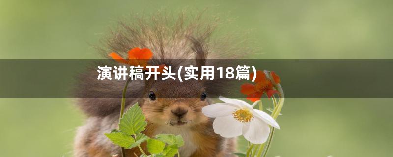 演讲稿开头(实用18篇)